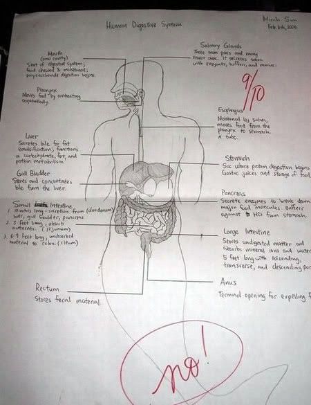 Funny school papers